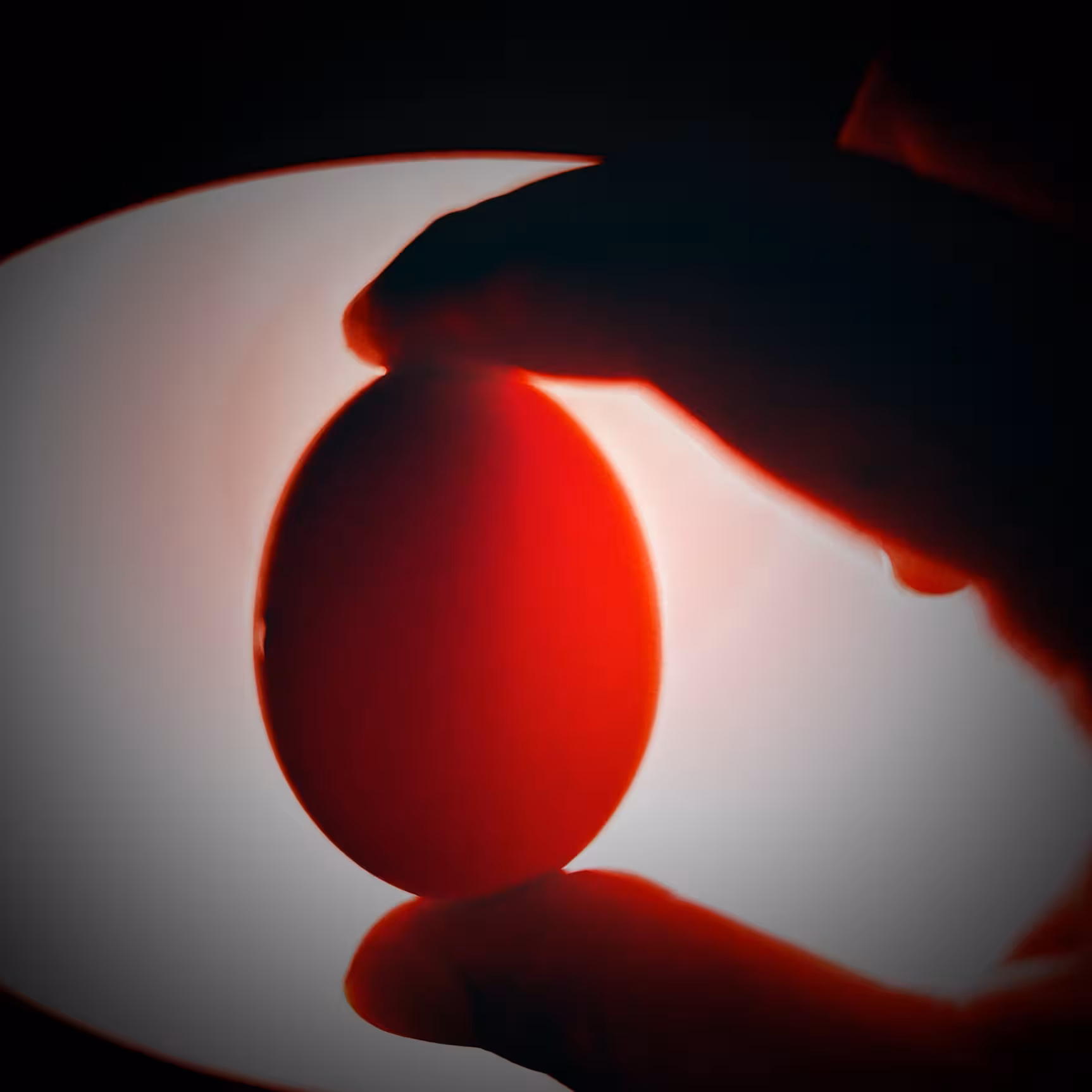 OmitLens main visual